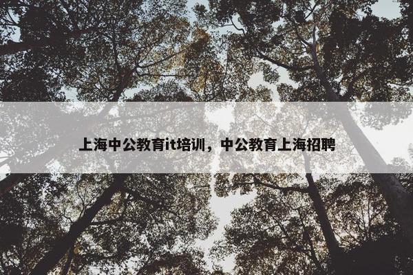 上海中公教育it培训，中公教育上海招聘