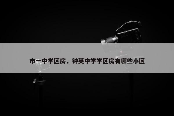 市一中学区房，钟英中学学区房有哪些小区