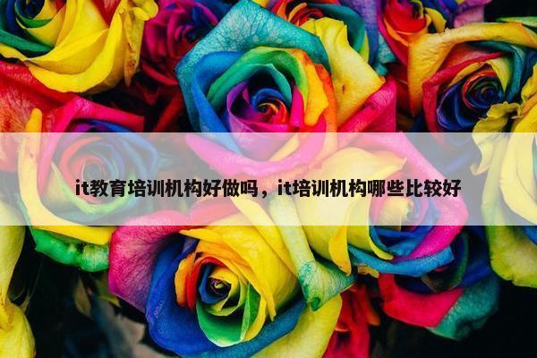 it教育培训机构好做吗，it培训机构哪些比较好