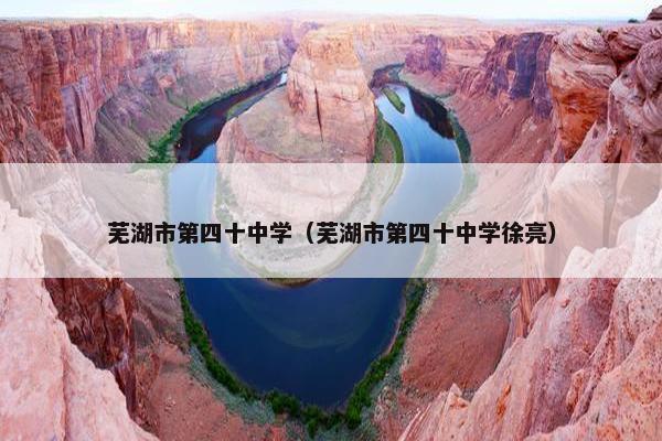 芜湖市第四十中学（芜湖市第四十中学徐亮）