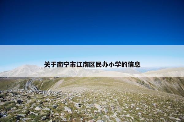 关于南宁市江南区民办小学的信息