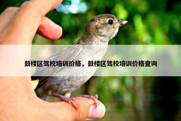 鼓楼区驾校培训价格，鼓楼区驾校培训价格查询