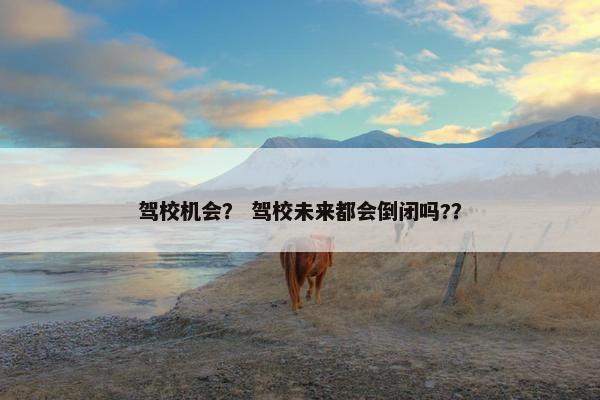 驾校机会？ 驾校未来都会倒闭吗?？
