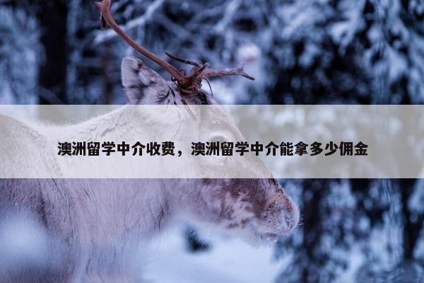 澳洲留学中介收费，澳洲留学中介能拿多少佣金