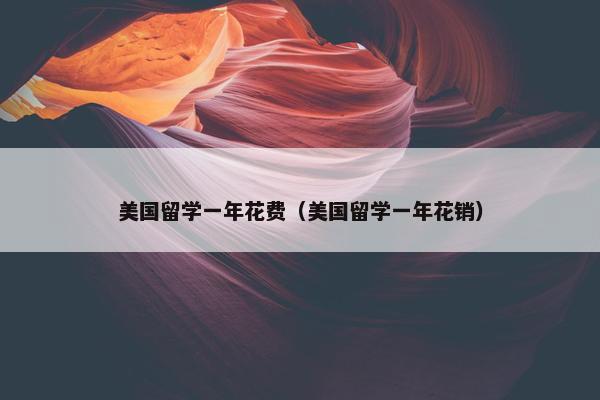 美国留学一年花费（美国留学一年花销）
