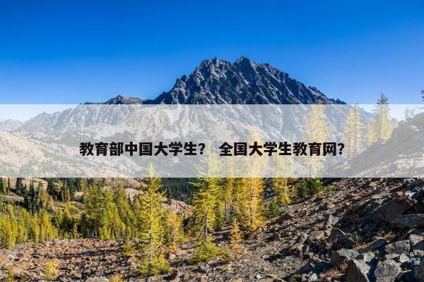 教育部中国大学生？ 全国大学生教育网？