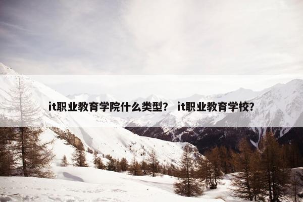 it职业教育学院什么类型？ it职业教育学校？