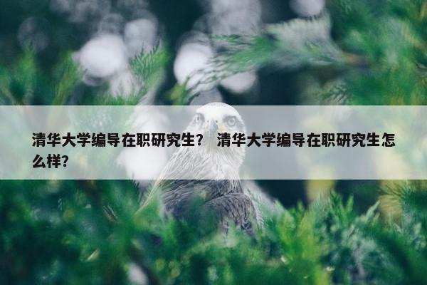 清华大学编导在职研究生？ 清华大学编导在职研究生怎么样？