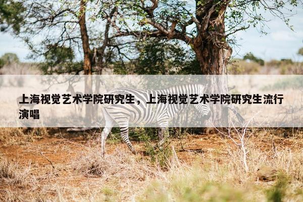 上海视觉艺术学院研究生，上海视觉艺术学院研究生流行演唱