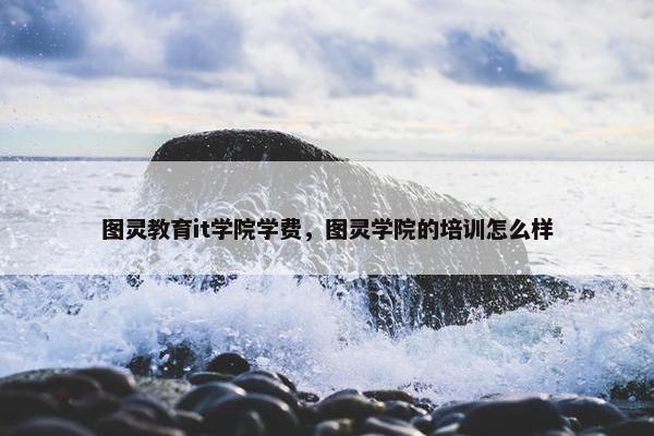 图灵教育it学院学费，图灵学院的培训怎么样