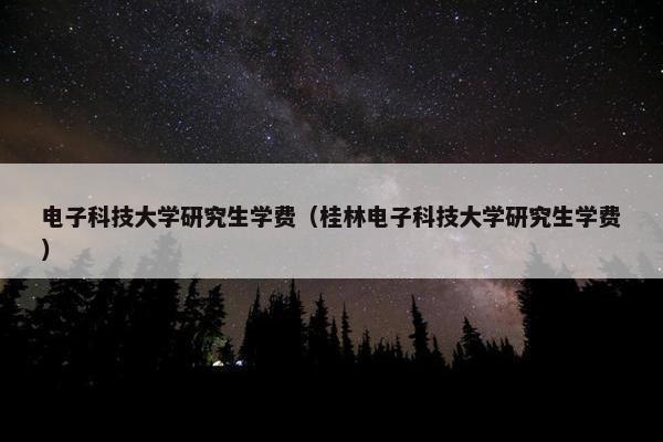 电子科技大学研究生学费（桂林电子科技大学研究生学费）