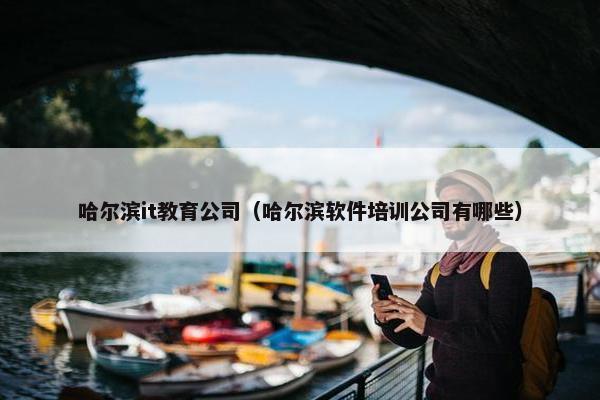哈尔滨it教育公司（哈尔滨软件培训公司有哪些）