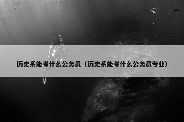 历史系能考什么公务员（历史系能考什么公务员专业）