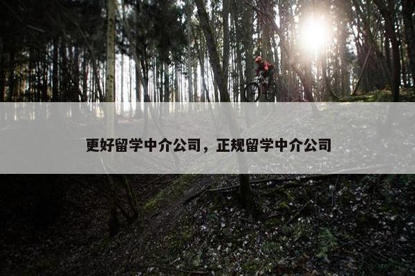 更好留学中介公司，正规留学中介公司