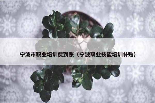 宁波市职业培训费到账（宁波职业技能培训补贴）