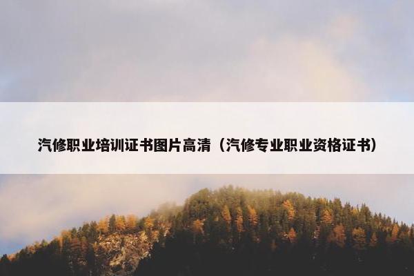 汽修职业培训证书图片高清（汽修专业职业资格证书）