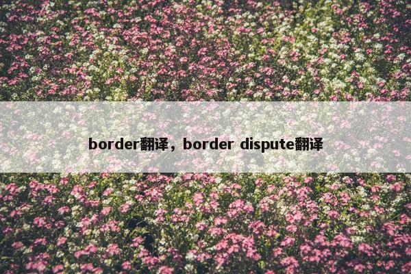 border翻译，border dispute翻译