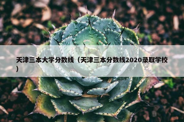 天津三本大学分数线（天津三本分数线2020录取学校）