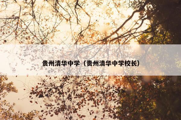 贵州清华中学（贵州清华中学校长）