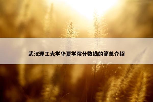 武汉理工大学华夏学院分数线的简单介绍
