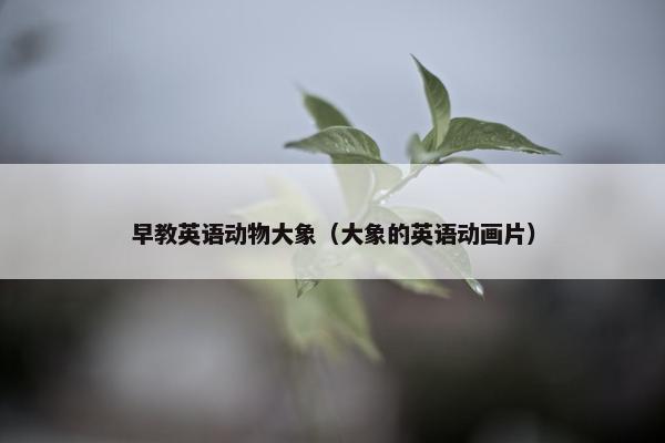 早教英语动物大象（大象的英语动画片）