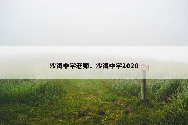 沙海中学老师，沙海中学2020