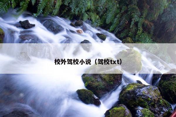 校外驾校小说（驾校txt）