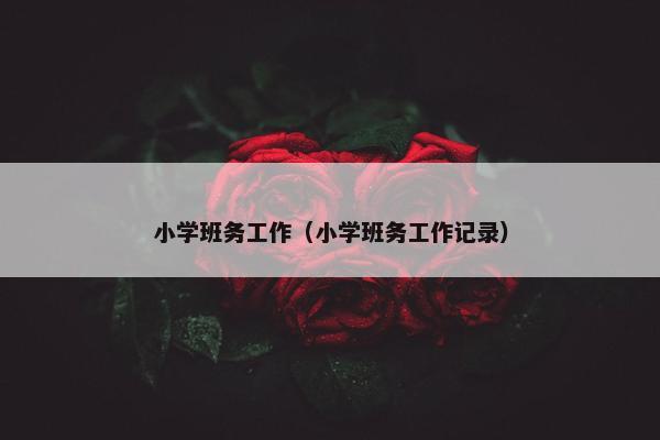 小学班务工作（小学班务工作记录）