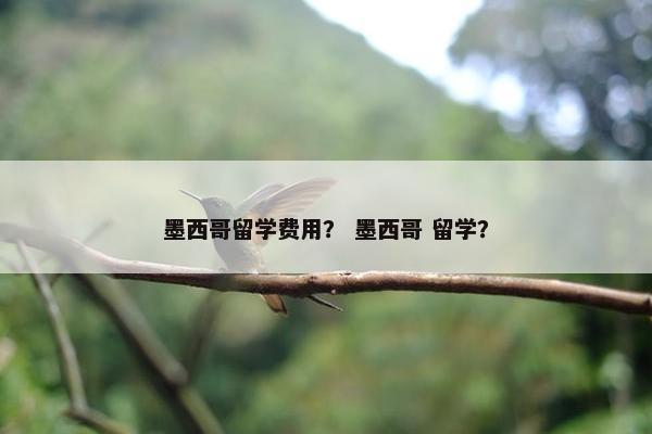 墨西哥留学费用？ 墨西哥 留学？