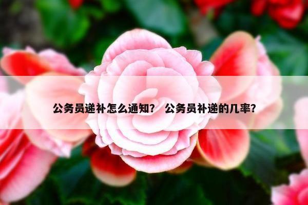 公务员递补怎么通知？ 公务员补递的几率？