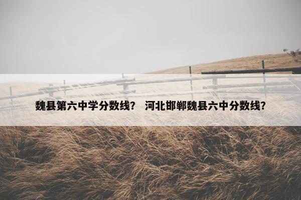 魏县第六中学分数线？ 河北邯郸魏县六中分数线？