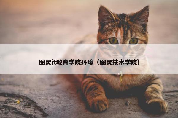 图灵it教育学院环境（图灵技术学院）