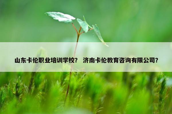 山东卡伦职业培训学校？ 济南卡伦教育咨询有限公司？