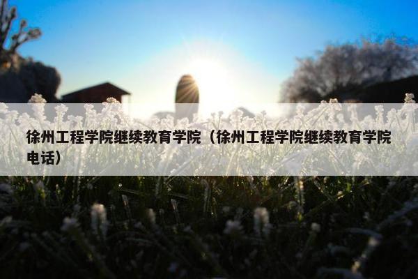 徐州工程学院继续教育学院（徐州工程学院继续教育学院电话）