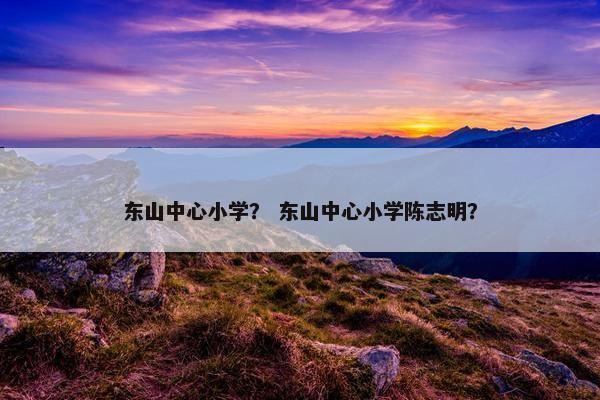 东山中心小学？ 东山中心小学陈志明？