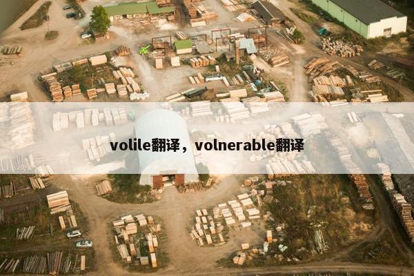 volile翻译，volnerable翻译
