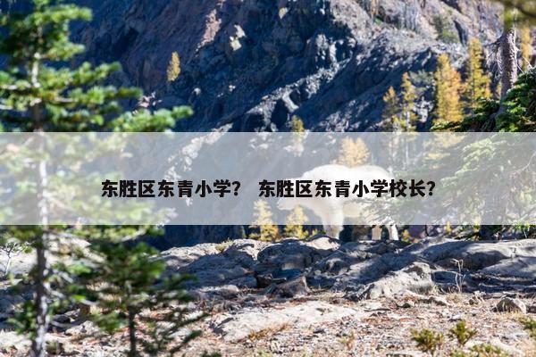 东胜区东青小学？ 东胜区东青小学校长？