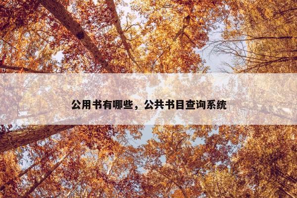 公用书有哪些，公共书目查询系统