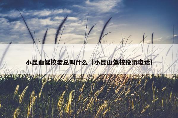 小昆山驾校老总叫什么（小昆山驾校投诉电话）