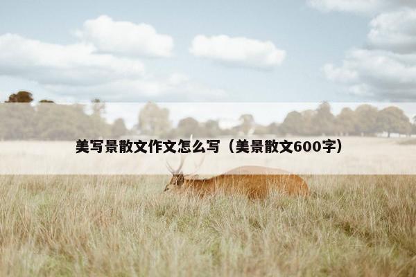 美写景散文作文怎么写（美景散文600字）