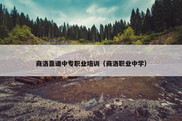 商洛靠谱中专职业培训（商洛职业中学）