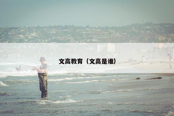 文高教育（文高是谁）