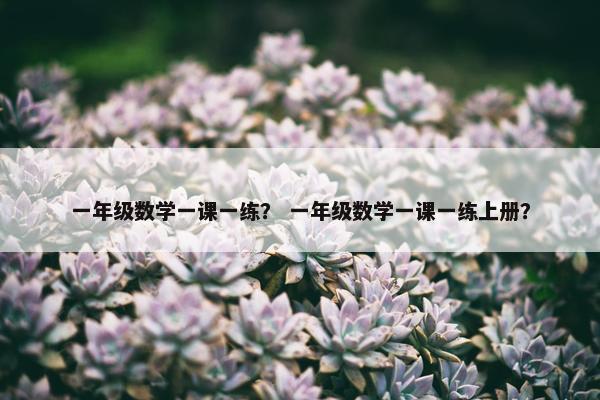 一年级数学一课一练？ 一年级数学一课一练上册？