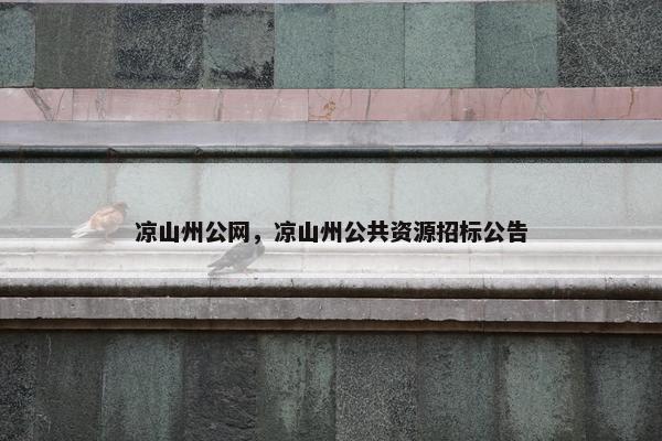 凉山州公网，凉山州公共资源招标公告