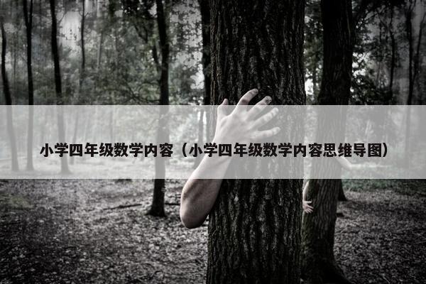 小学四年级数学内容（小学四年级数学内容思维导图）