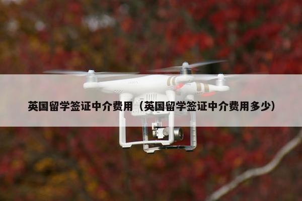 英国留学签证中介费用（英国留学签证中介费用多少）