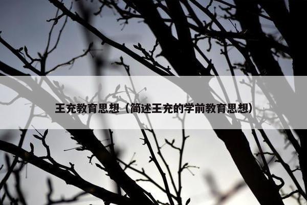 王充教育思想（简述王充的学前教育思想）