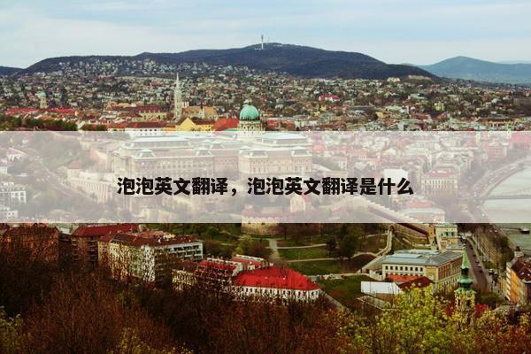 泡泡英文翻译，泡泡英文翻译是什么