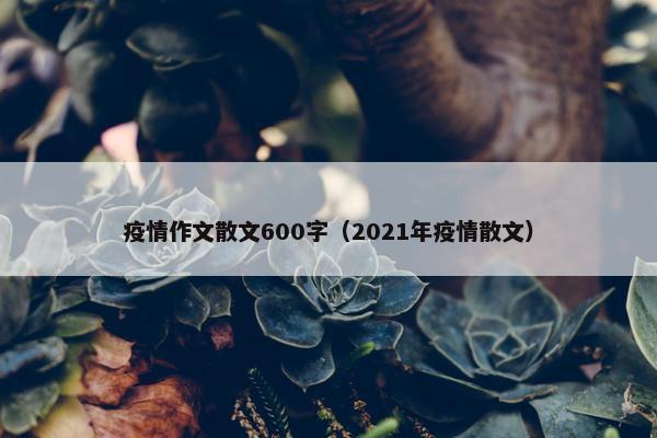 疫情作文散文600字（2021年疫情散文）