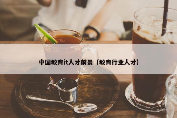 中国教育it人才前景（教育行业人才）